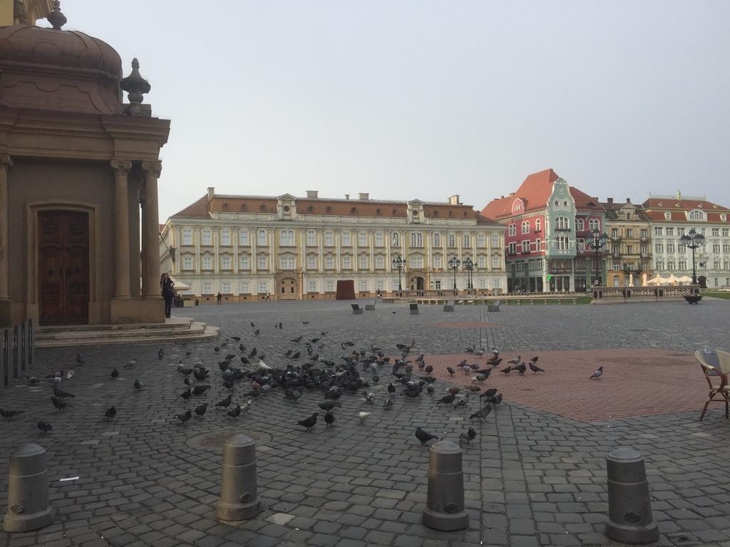 Apartament Lux Unirii Timişoara Buitenkant foto