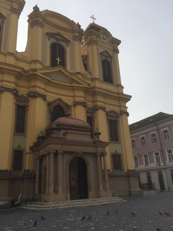 Apartament Lux Unirii Timişoara Buitenkant foto